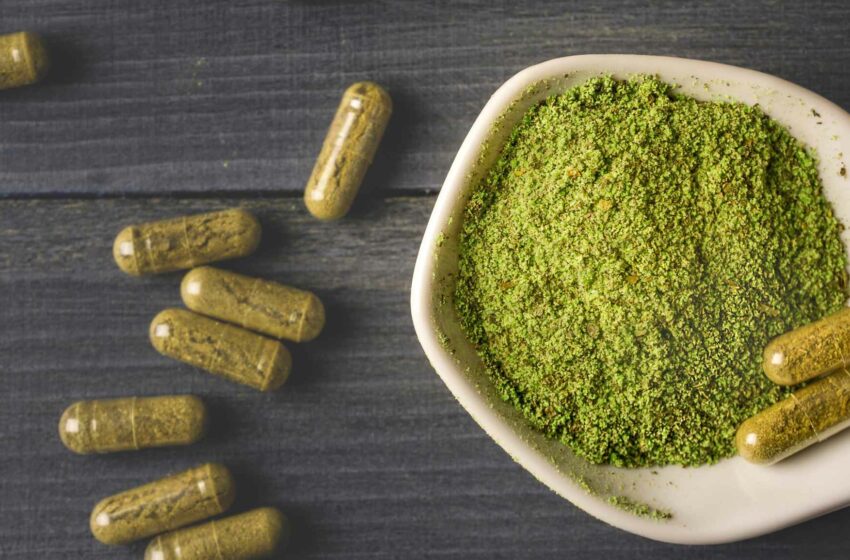  Red Bali Kratom: A Comprehensive Guide To Its Side Effects